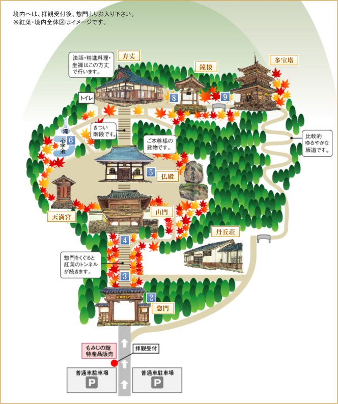 参拝順路図